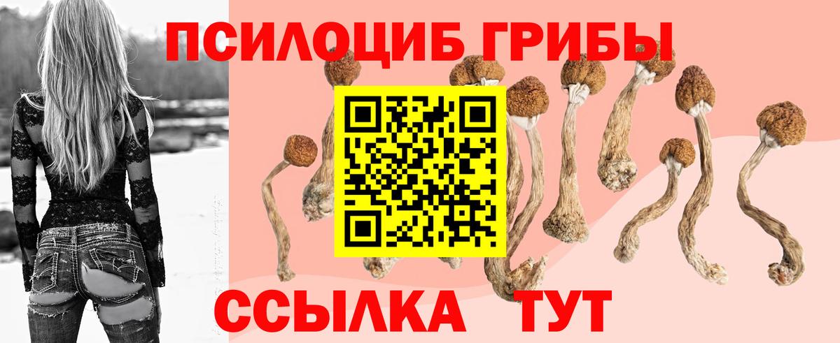 Псилоцибиновые грибы ЛСД Курчатов